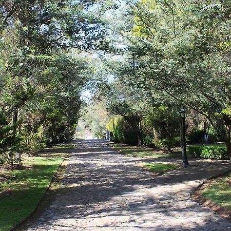 Rancho San Antonio Hotel Huasca de Ocampo Zewnętrze zdjęcie