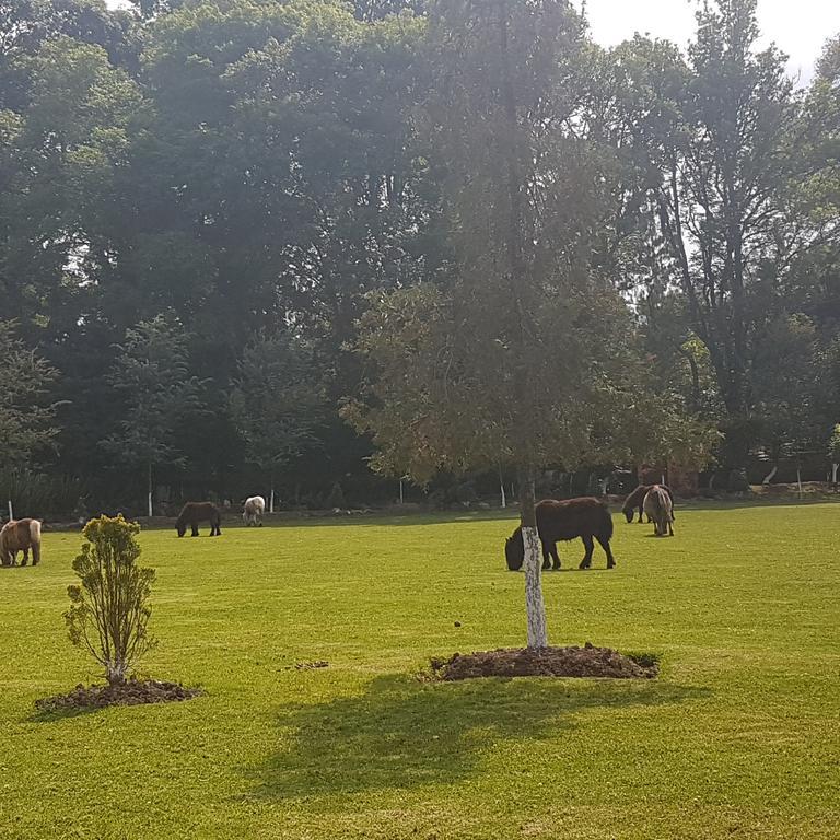 Rancho San Antonio Hotel Huasca de Ocampo Zewnętrze zdjęcie
