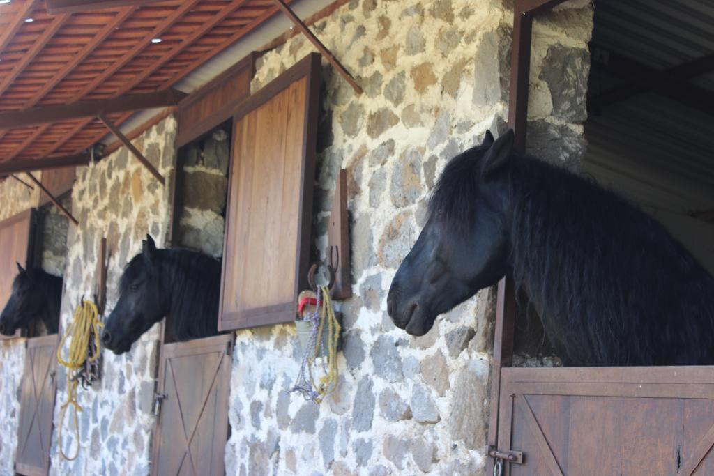 Rancho San Antonio Hotel Huasca de Ocampo Zewnętrze zdjęcie
